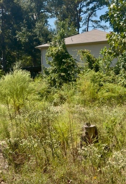 18944 Iris Ln, Porter, TX 77365 18944 Iris Ln, Porter, TX 77365