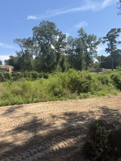 18944 Iris Ln, Porter, TX 77365 18944 Iris Ln, Porter, TX 77365