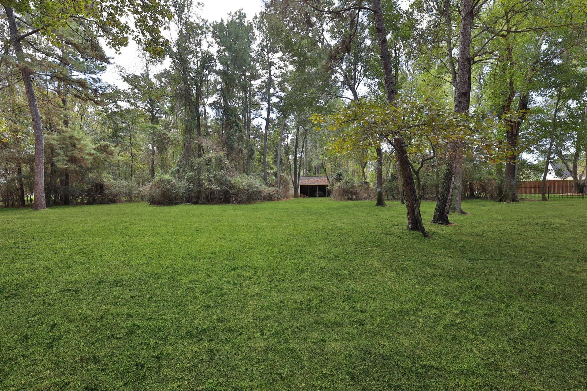 Plenty of space for a pool, your pets or kiddos to play