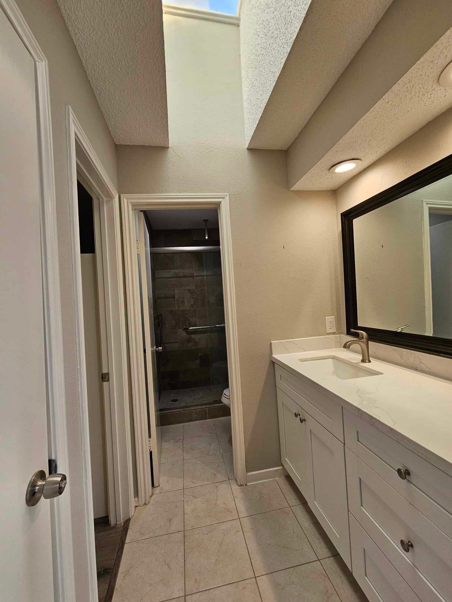 Primary bathroom with skylight