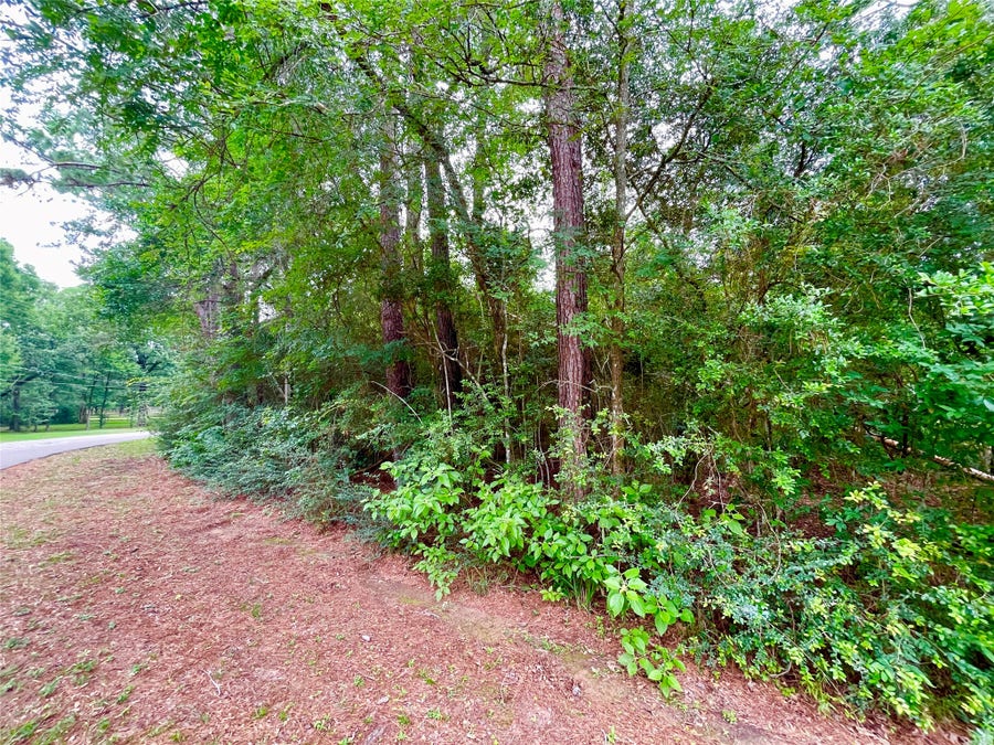 Property photo for 30803 Green Forest, Magnolia, TX