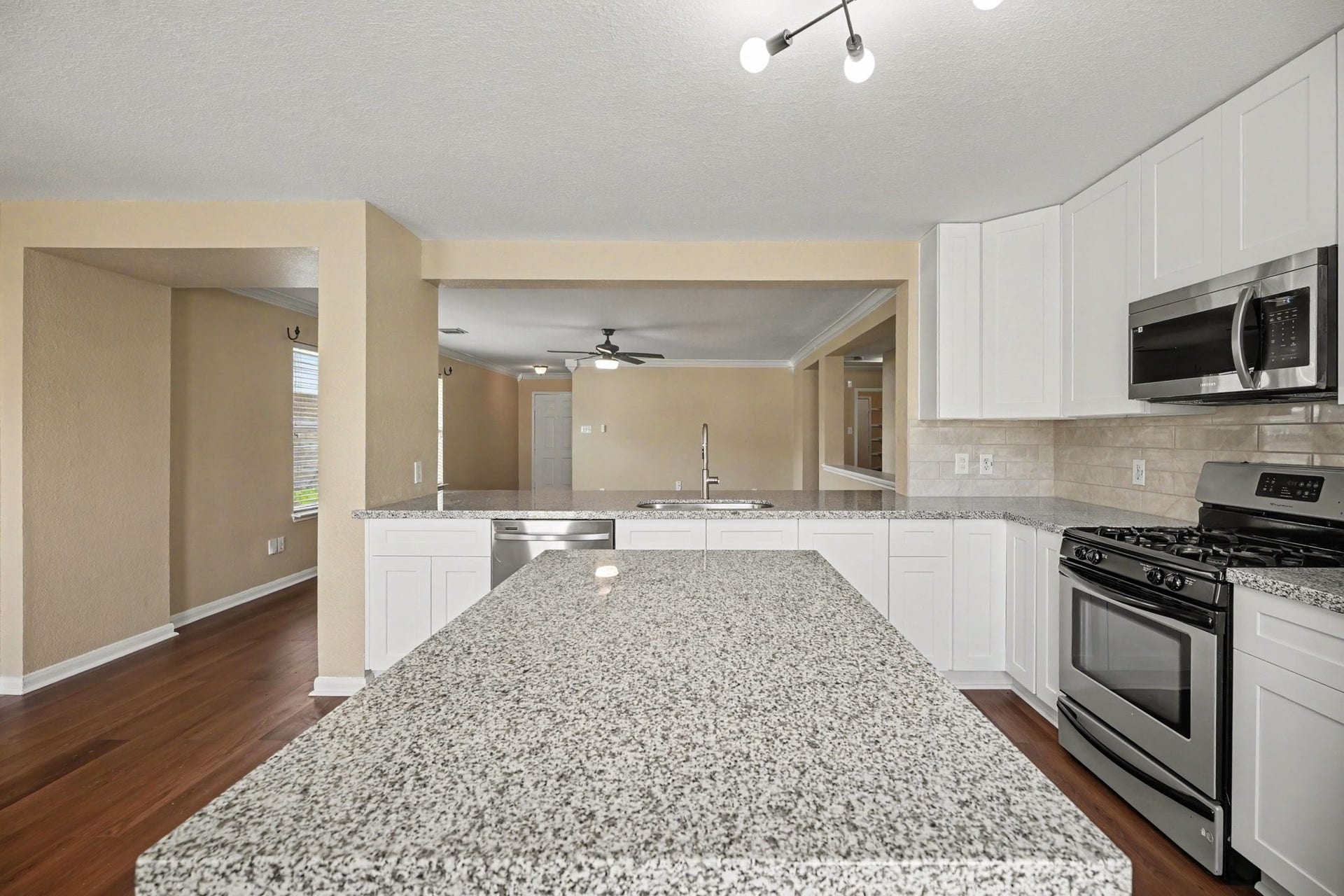 4750 Quiet Canyon Drive, Friendswood, TX 77546 Option Concept - Brand New Granite
