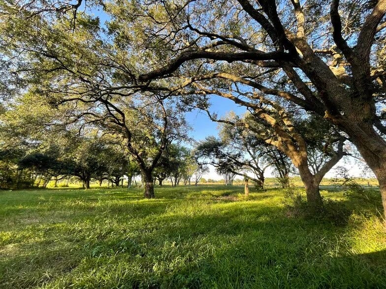 Property photo for 4903 Davenport Parkway, Rosharon, TX
