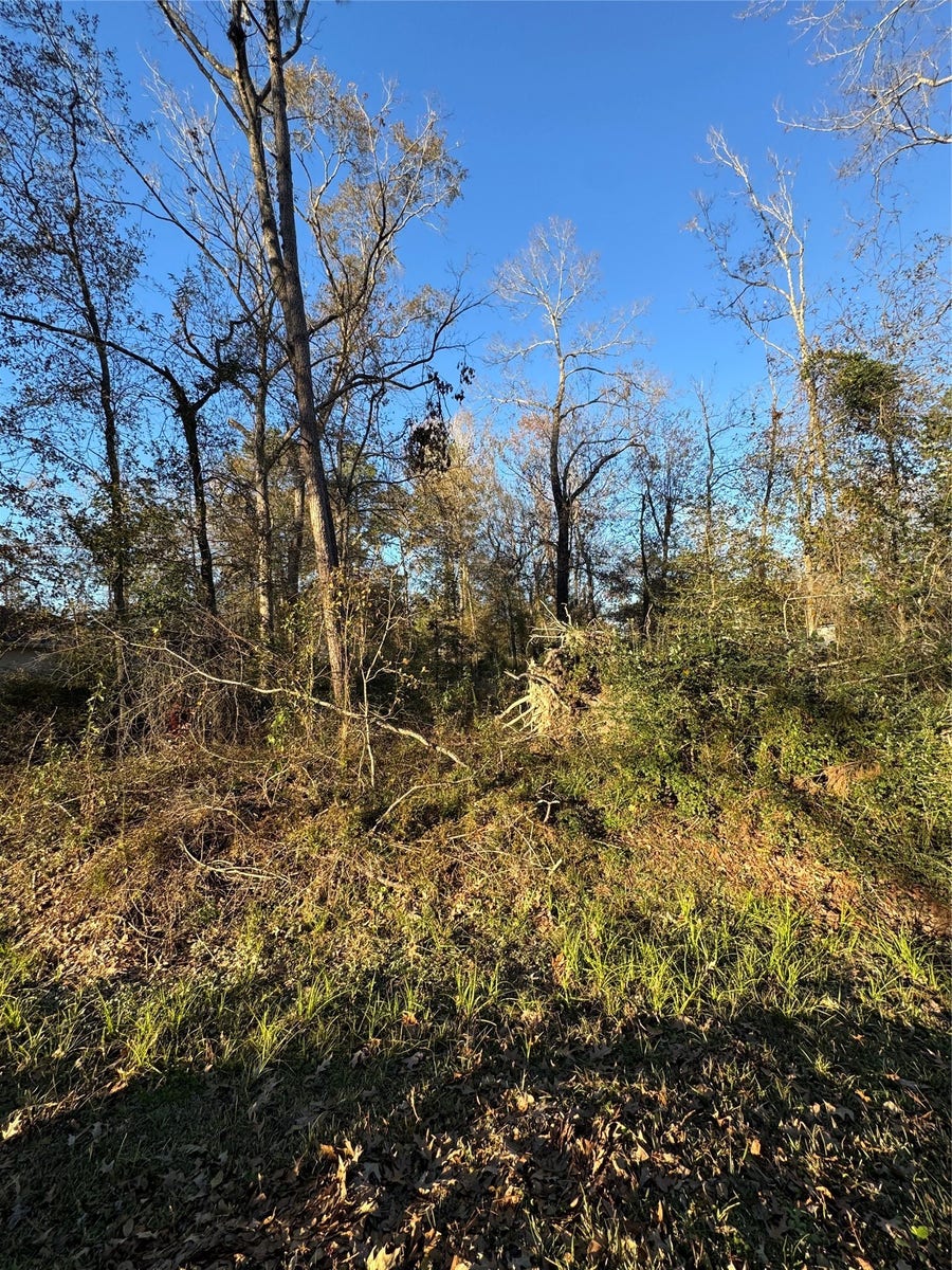 Property photo for 307 Magnolia Bend Drive, New Caney, TX