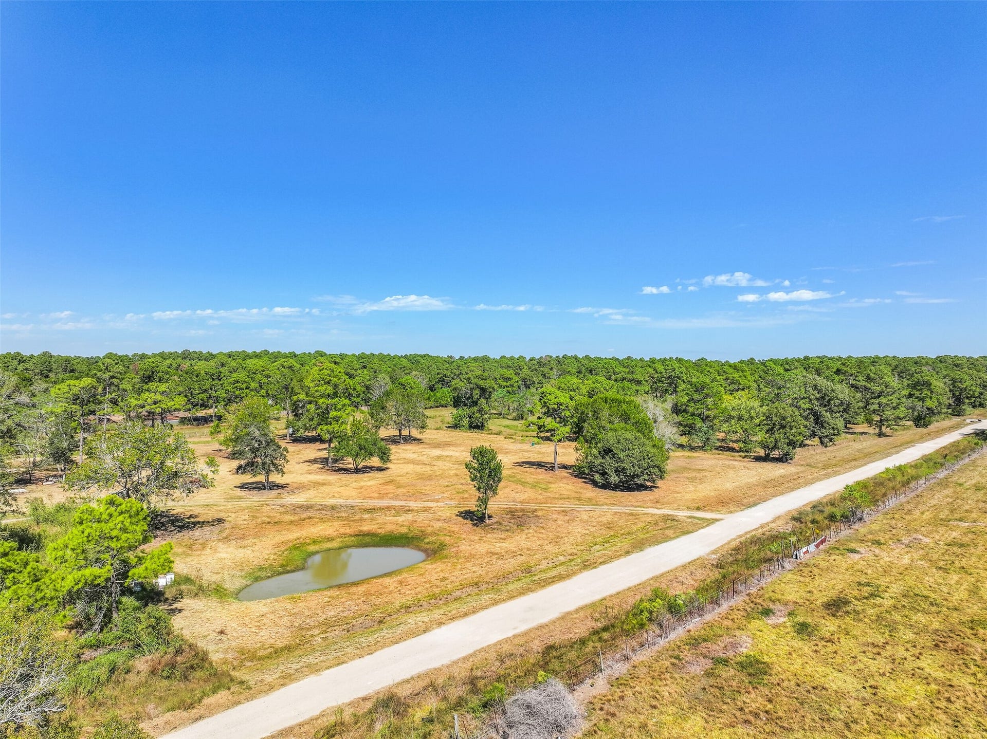 131 Narrow Path Road, Liverpool, TX 77577 131 Narrow Path Road, Liverpool, TX 77577