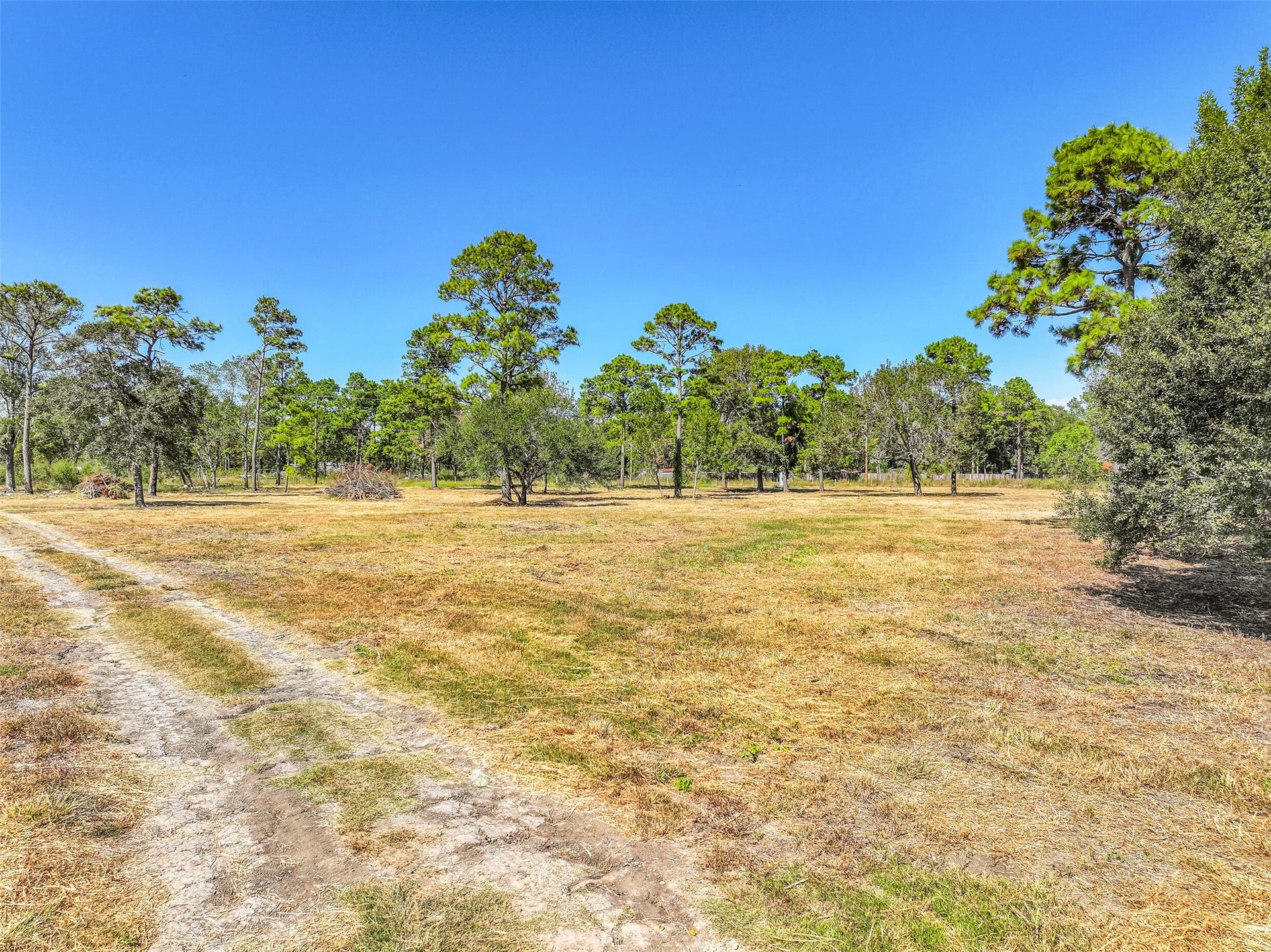 131 Narrow Path Road, Liverpool, TX 77577 131 Narrow Path Road, Liverpool, TX 77577