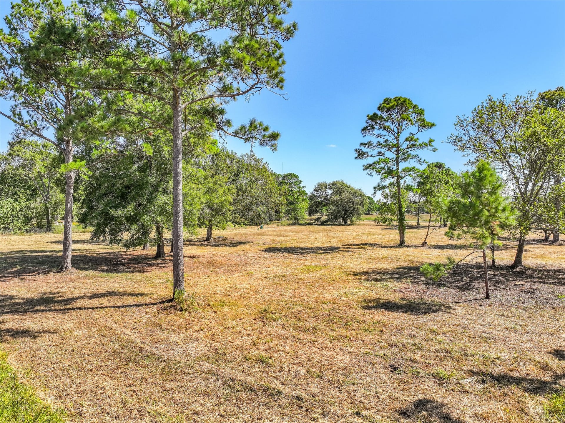 131 Narrow Path Road, Liverpool, TX 77577 131 Narrow Path Road, Liverpool, TX 77577