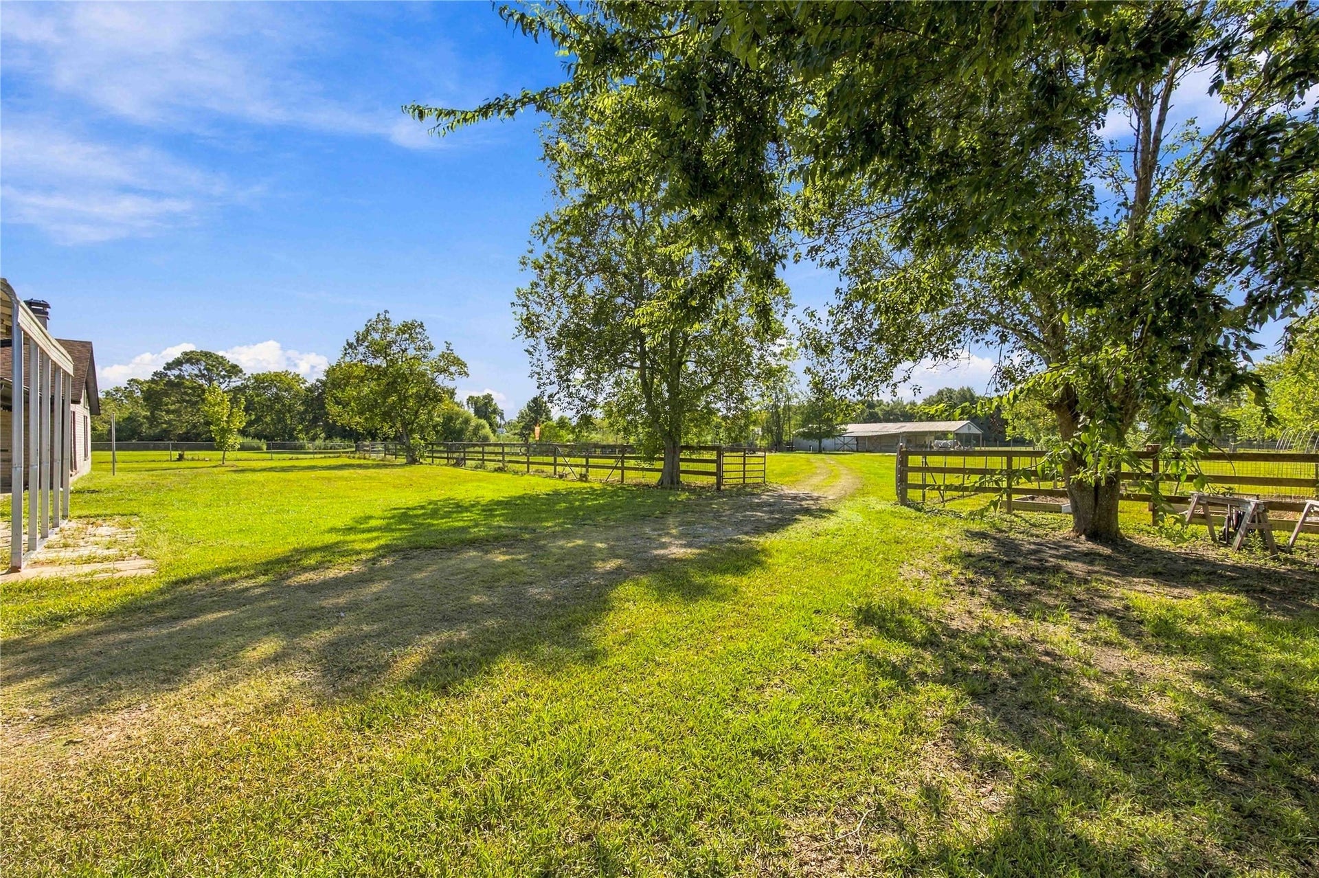 4697 Wickwillow Lane, Alvin, TX 77511 Enjoying the trees on the property.