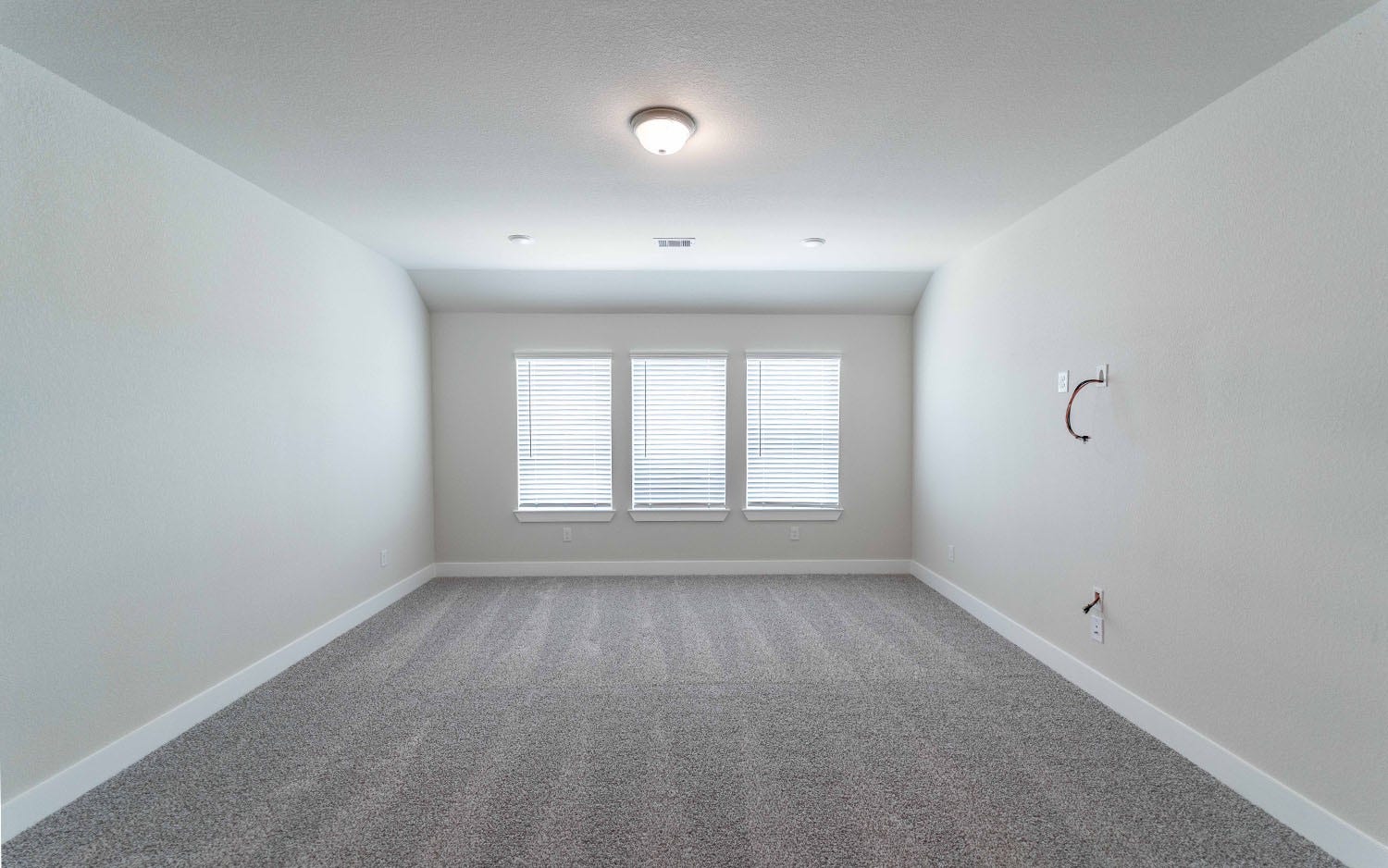 8915 Rose Jade Drive, Iowa Colony, TX 77583 8915 Rose Jade Drive, Iowa Colony, TX 77583