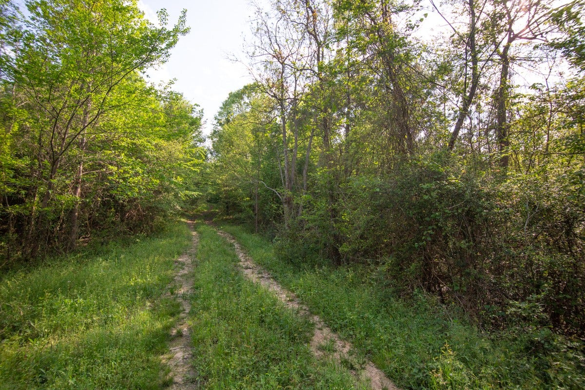 TBD Calvary Road, Willis, TX 77318 TBD Calvary Road, Willis, TX 77318