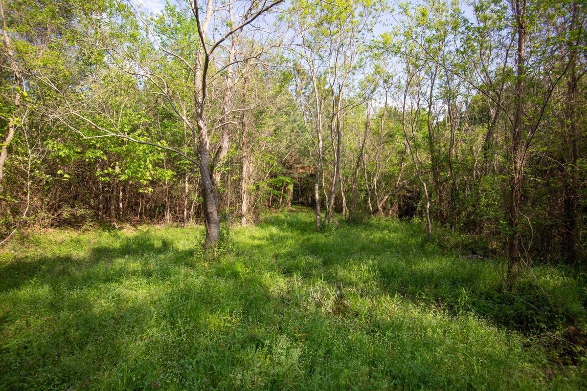 TBD Calvary Road, Willis, TX 77318 TBD Calvary Road, Willis, TX 77318