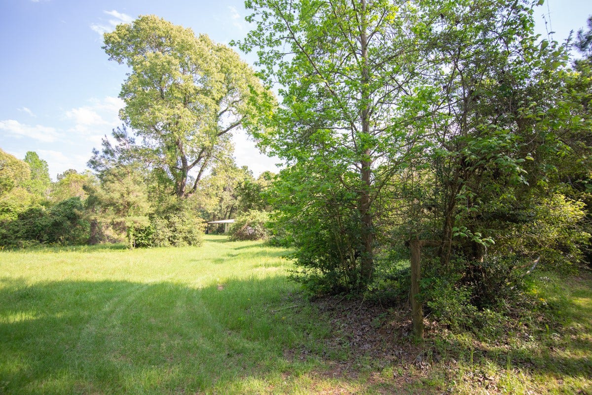 TBD Calvary Road, Willis, TX 77318 TBD Calvary Road, Willis, TX 77318