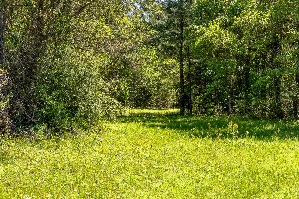 TBD Calvary Road, Willis, TX 77318 TBD Calvary Road, Willis, TX 77318