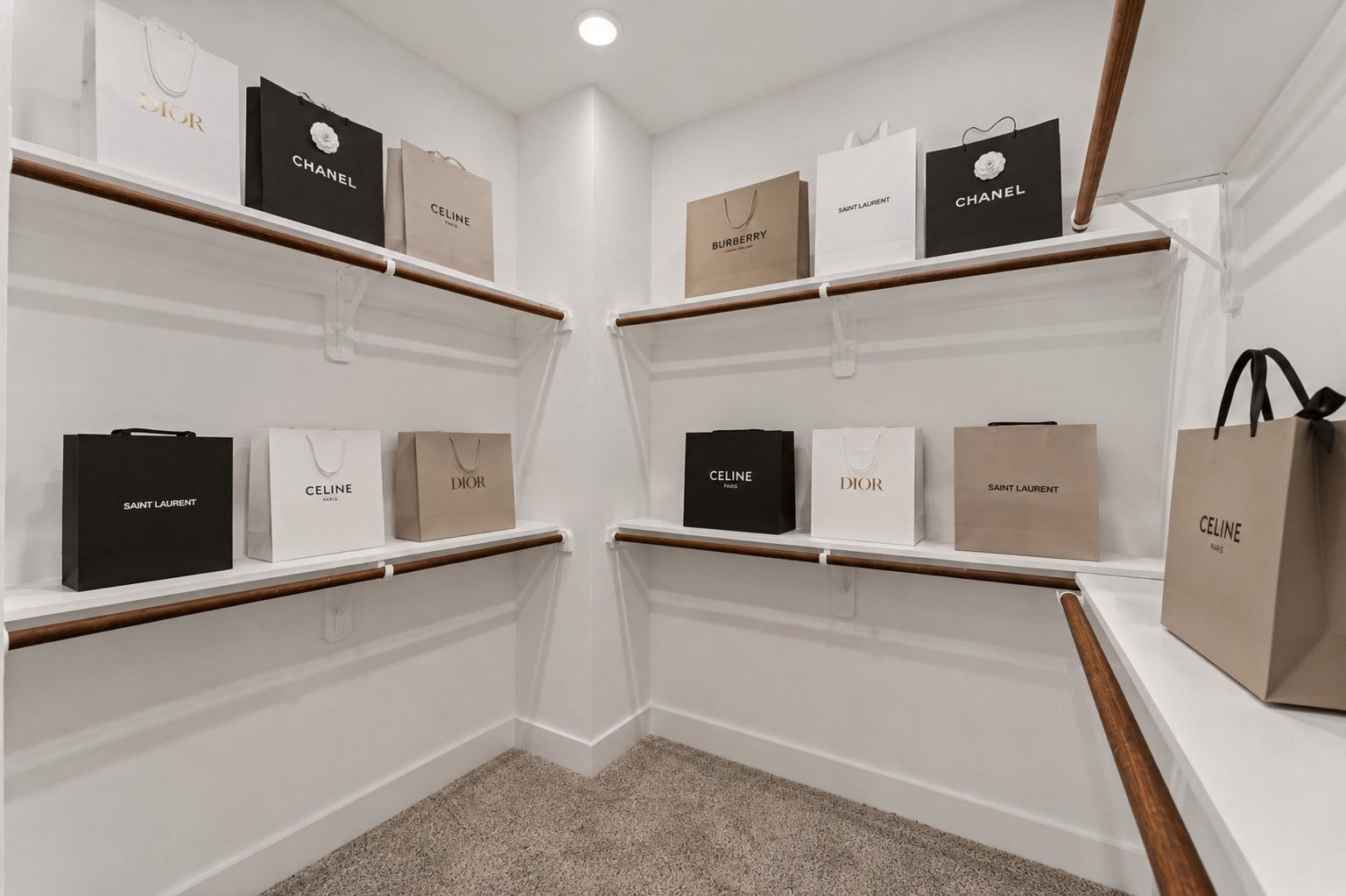 Generously sized walk-in closet offering functional storage and organization space.