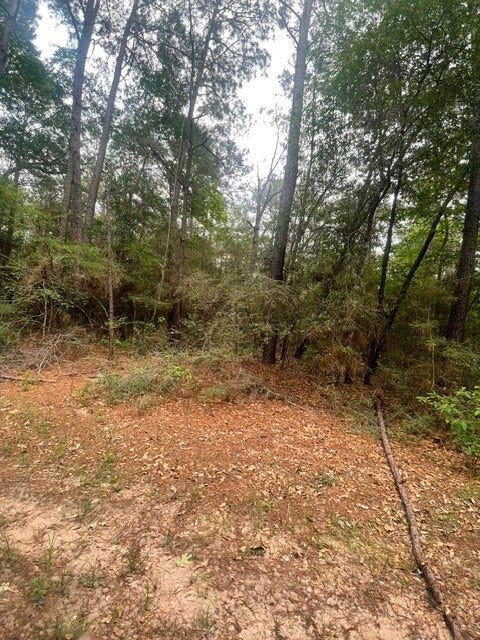 Property photo for 16862 Big Brave Circle, Hempstead, TX
