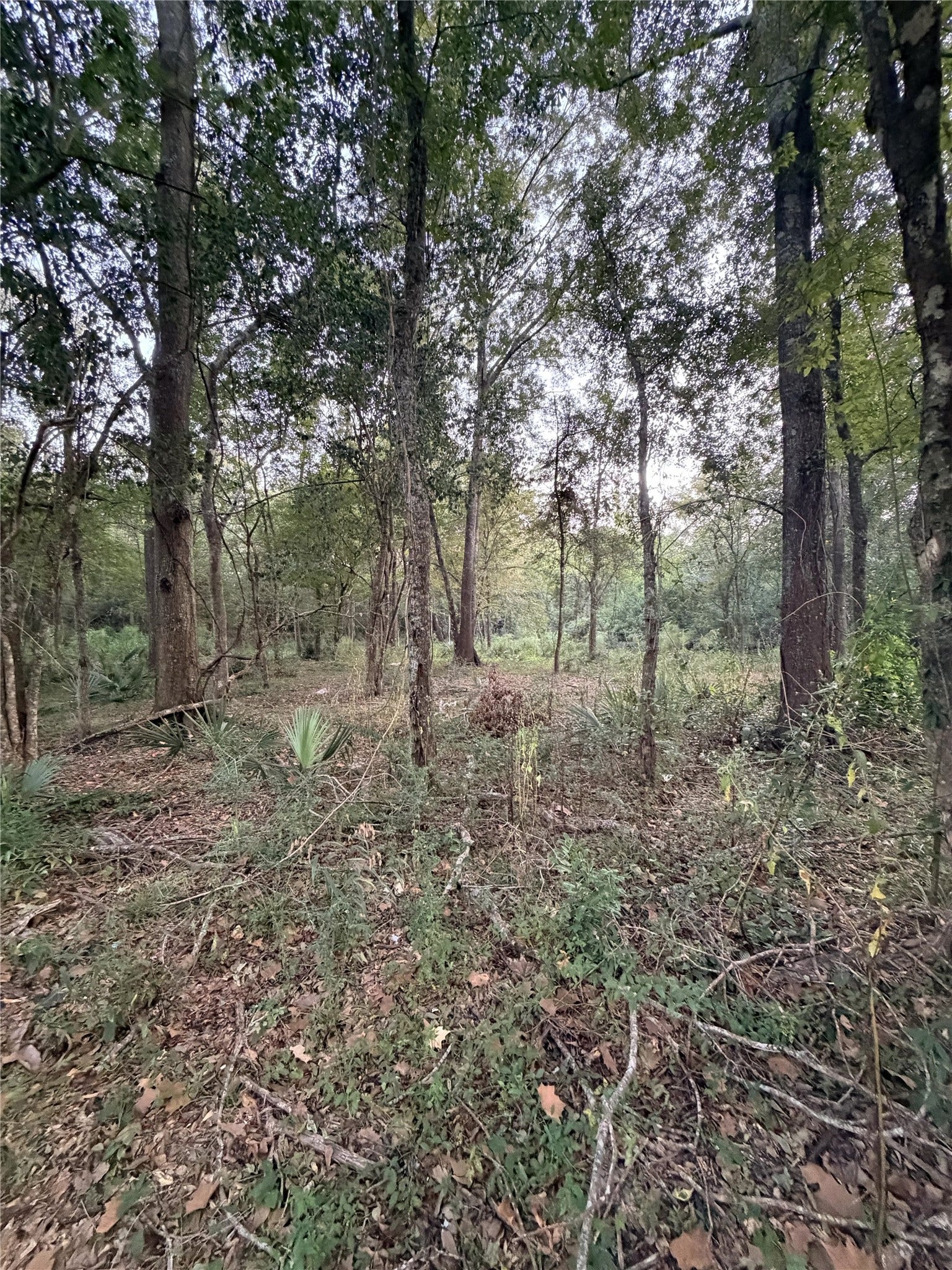 610 South 10th Street, Conroe, TX 77301 610 South 10th Street, Conroe, TX 77301
