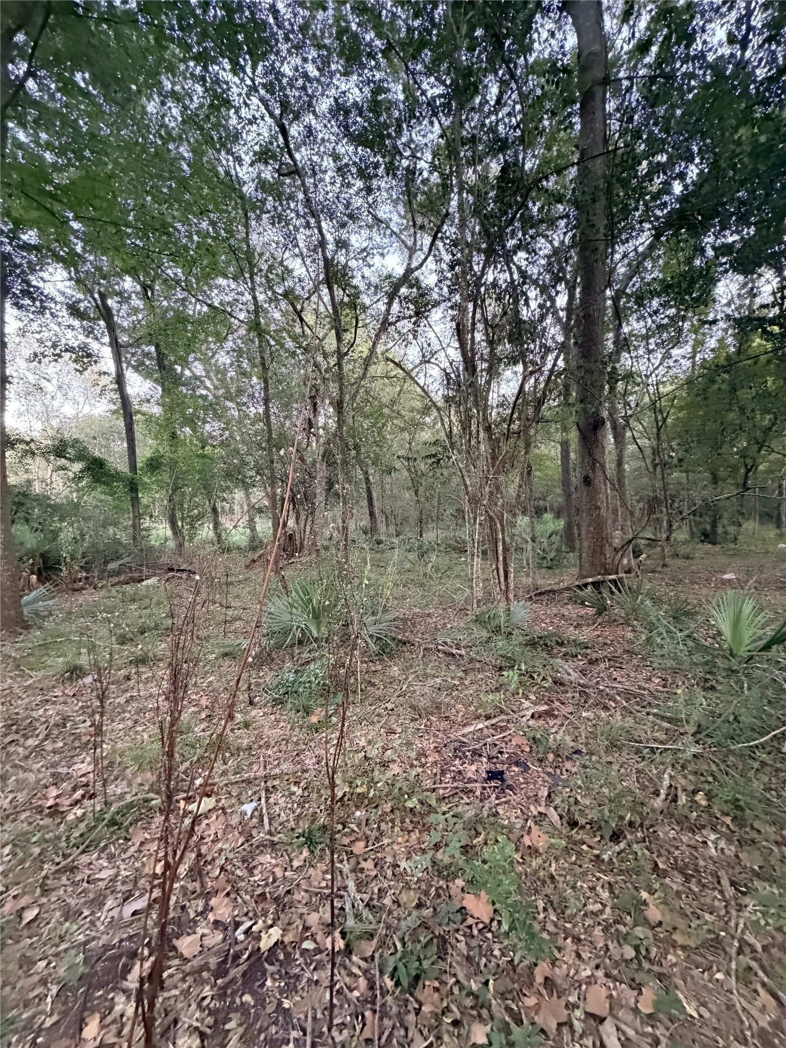 610 South 10th Street, Conroe, TX 77301 610 South 10th Street, Conroe, TX 77301