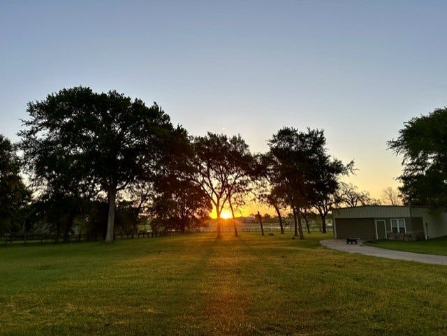27644 Spring Hill Road, Hempstead, TX 77445 Experience stunning sunrises from your back porch, creating a serene start to every day.
