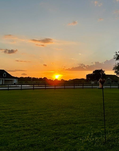27644 Spring Hill Road, Hempstead, TX 77445 Enjoy breathtaking sunsets from your serene front porch.