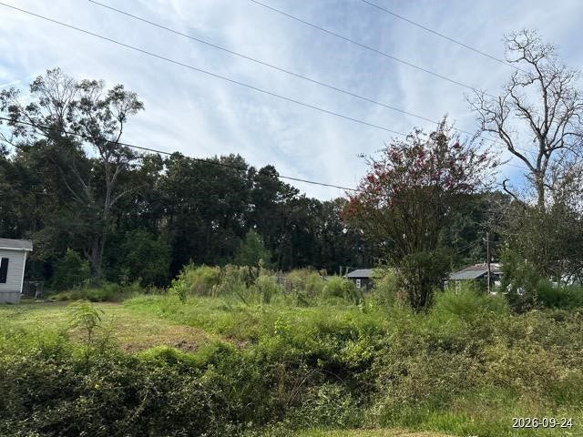 Property photo for 20664 Mcgager Drive, New Caney, TX