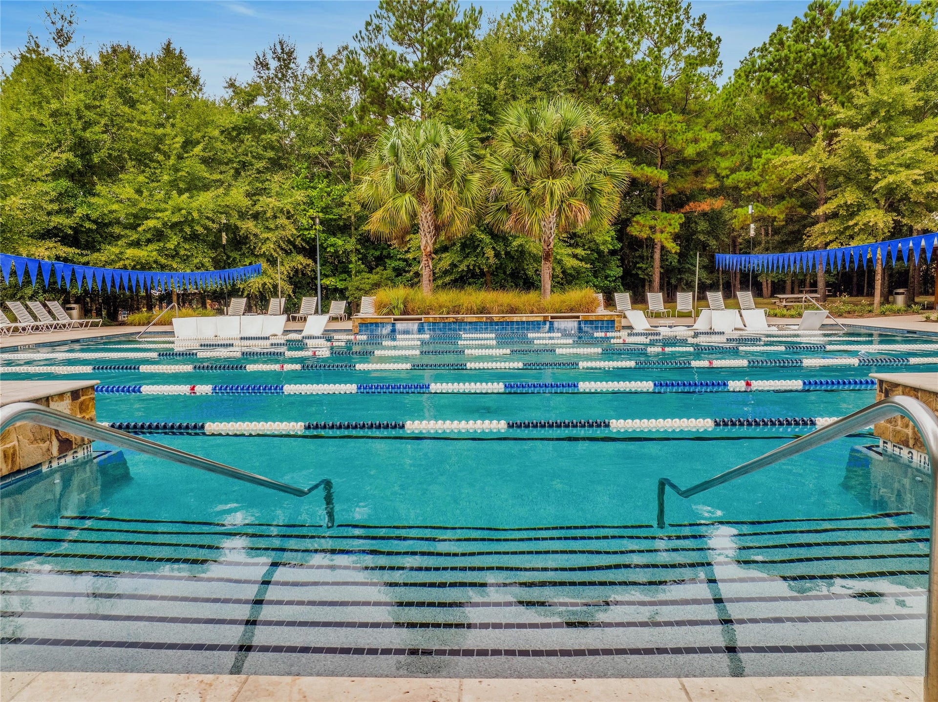 173 Sanderling Lane, Montgomery, TX 77316 Lap Pool