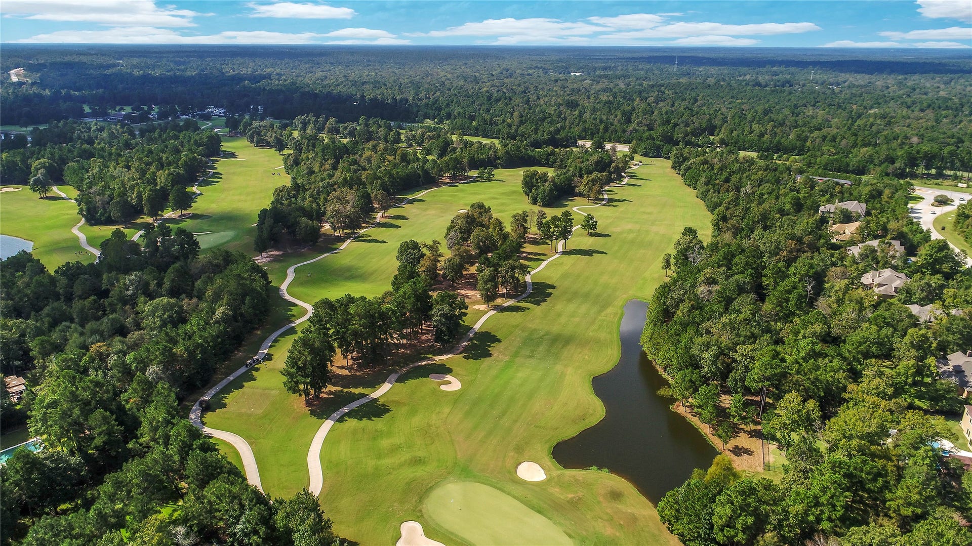 173 Sanderling Lane, Montgomery, TX 77316 Woodforest Golf Club