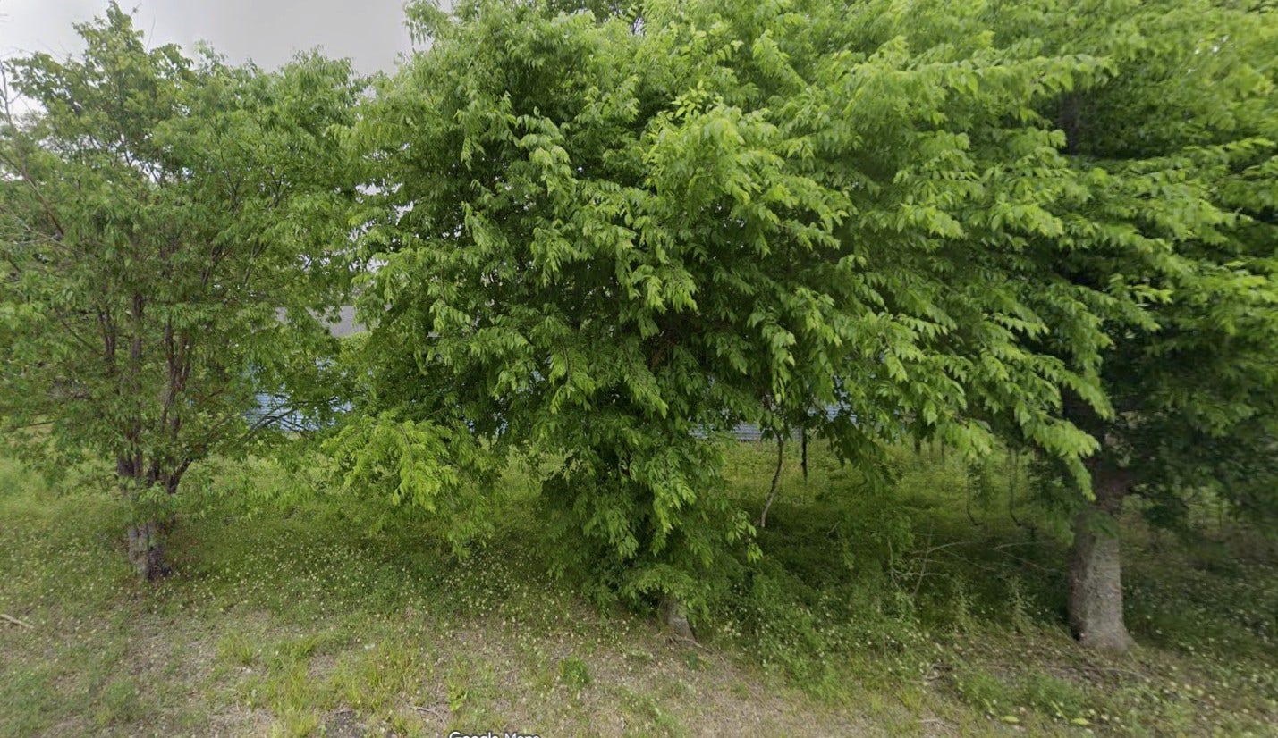2941 - 19 County Raod 352 Road, Brazoria, TX 77422 2941 - 19 County Raod 352 Road, Brazoria, TX 77422