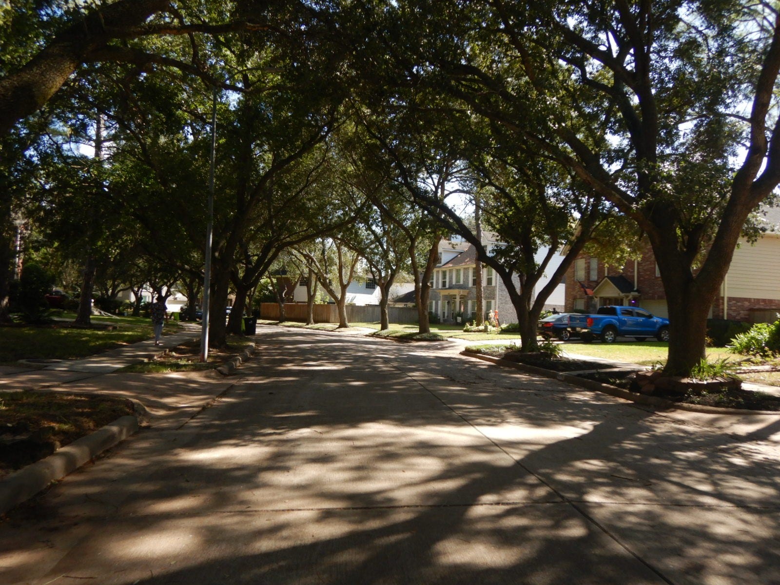 4518 Westray Drive, Missouri City, TX 77459 Tree lined street