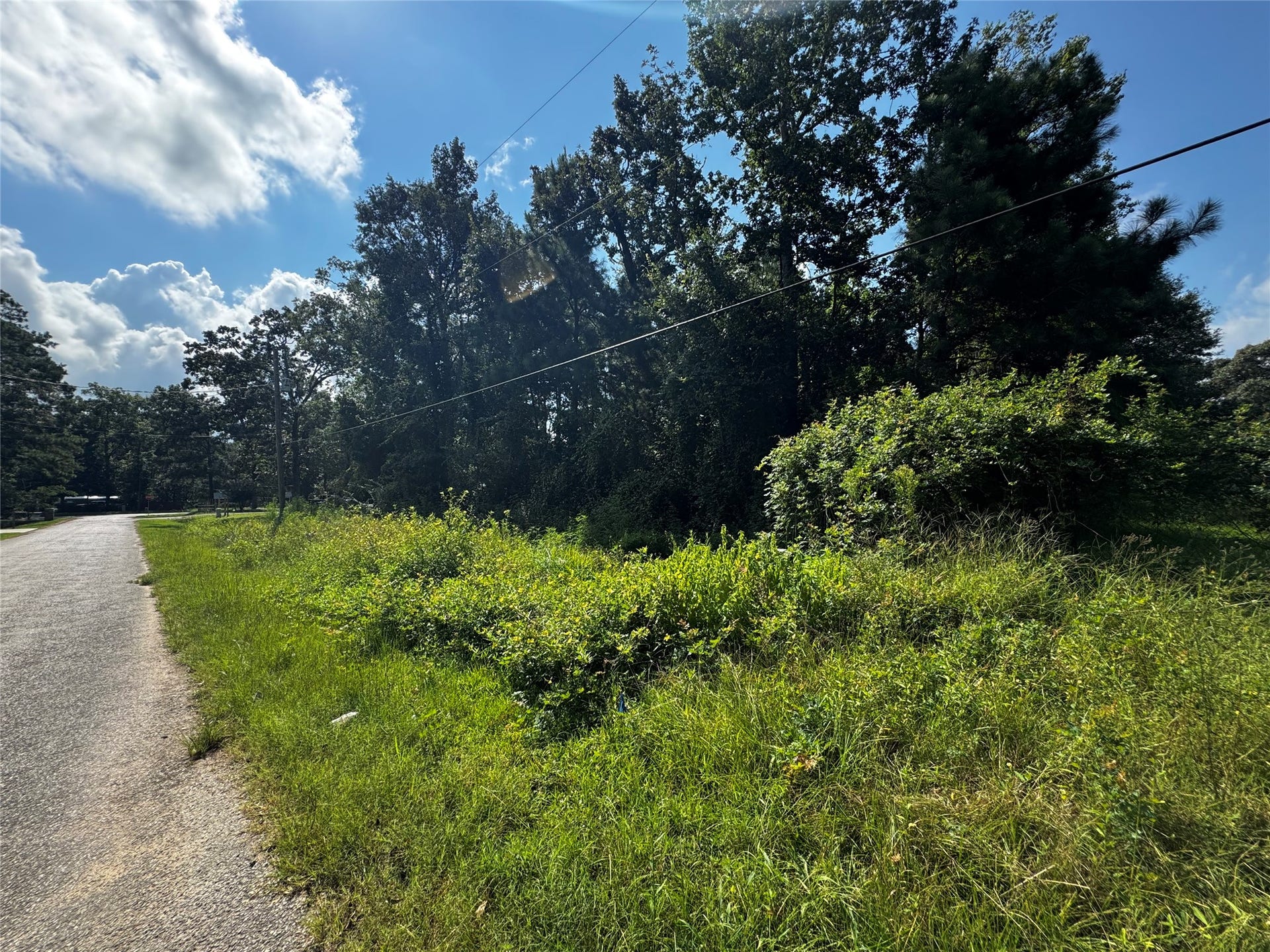 17632 Drowsy Pines, Conroe, TX 77306 Front with asphalted road