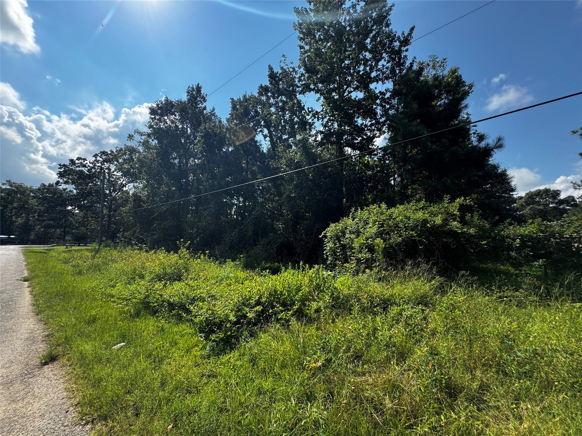 17632 Drowsy Pines, Conroe, TX 77306 17632 Drowsy Pines, Conroe, TX 77306
