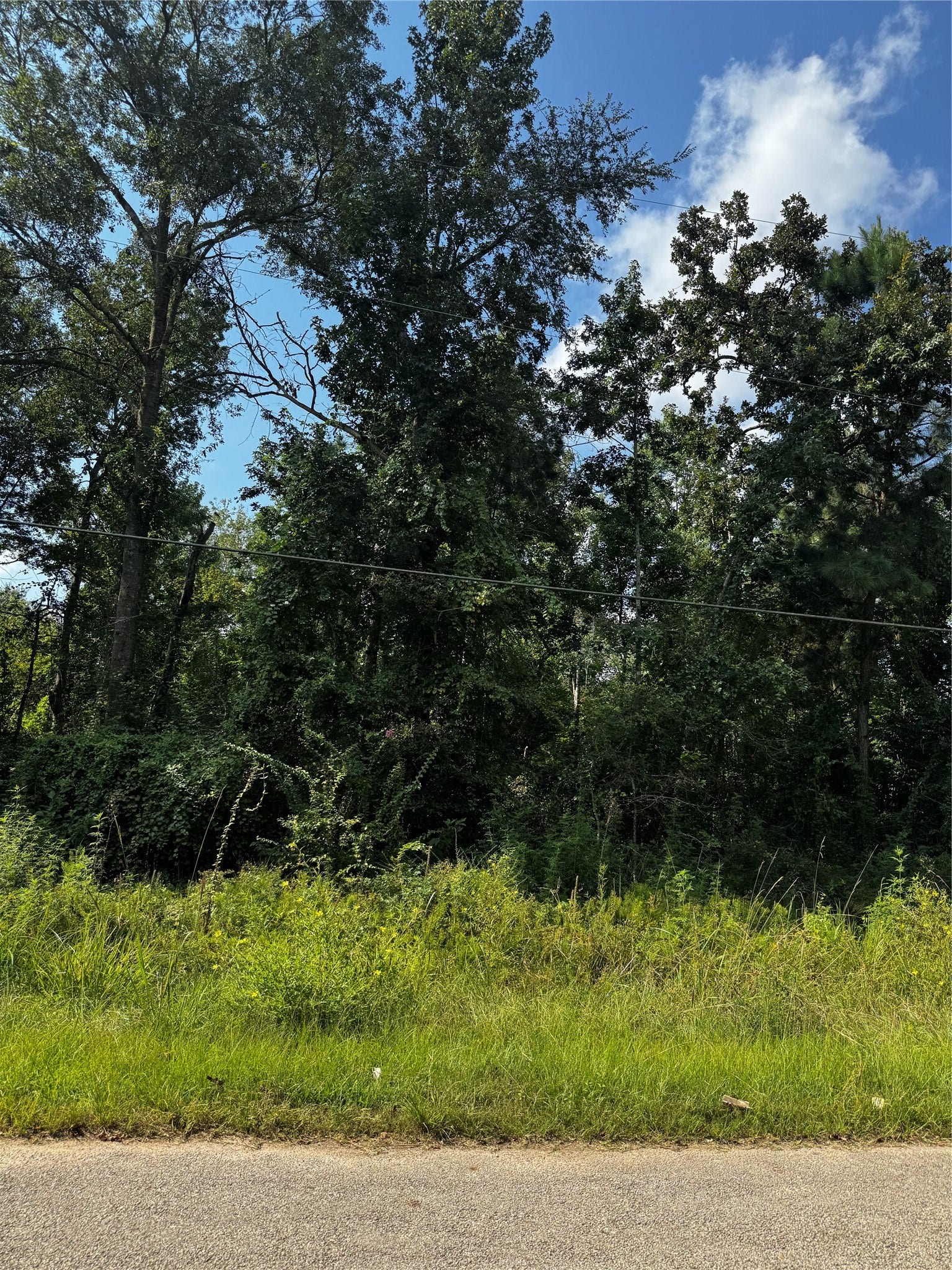 17632 Drowsy Pines, Conroe, TX 77306 Front with asphalted road