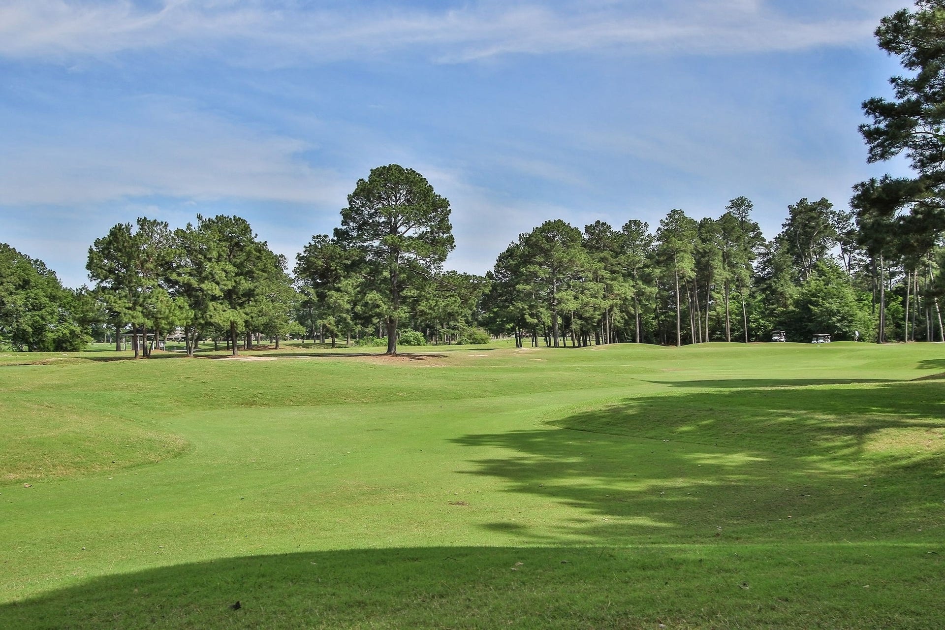 6114 Windrose Hollow Lane, Spring, TX 77379 6114 Windrose Hollow Lane, Spring, TX 77379
