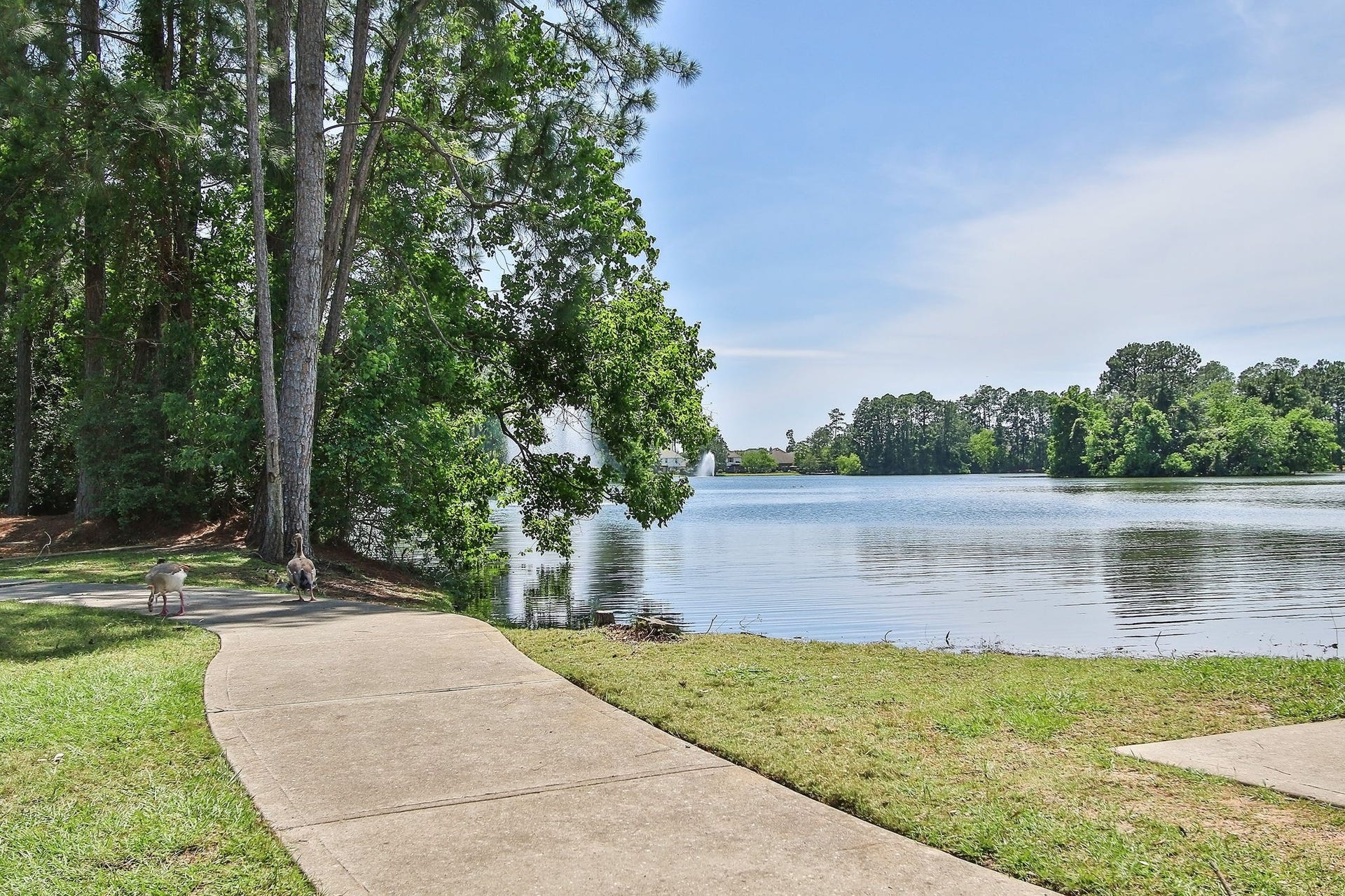 6114 Windrose Hollow Lane, Spring, TX 77379 6114 Windrose Hollow Lane, Spring, TX 77379