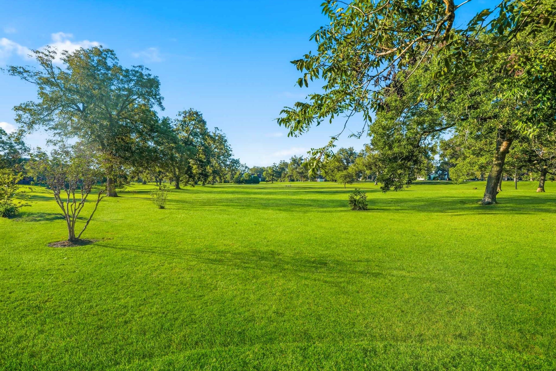 218 Bella Vista Drive, Richmond, TX 77406 218 Bella Vista Drive, Richmond, TX 77406