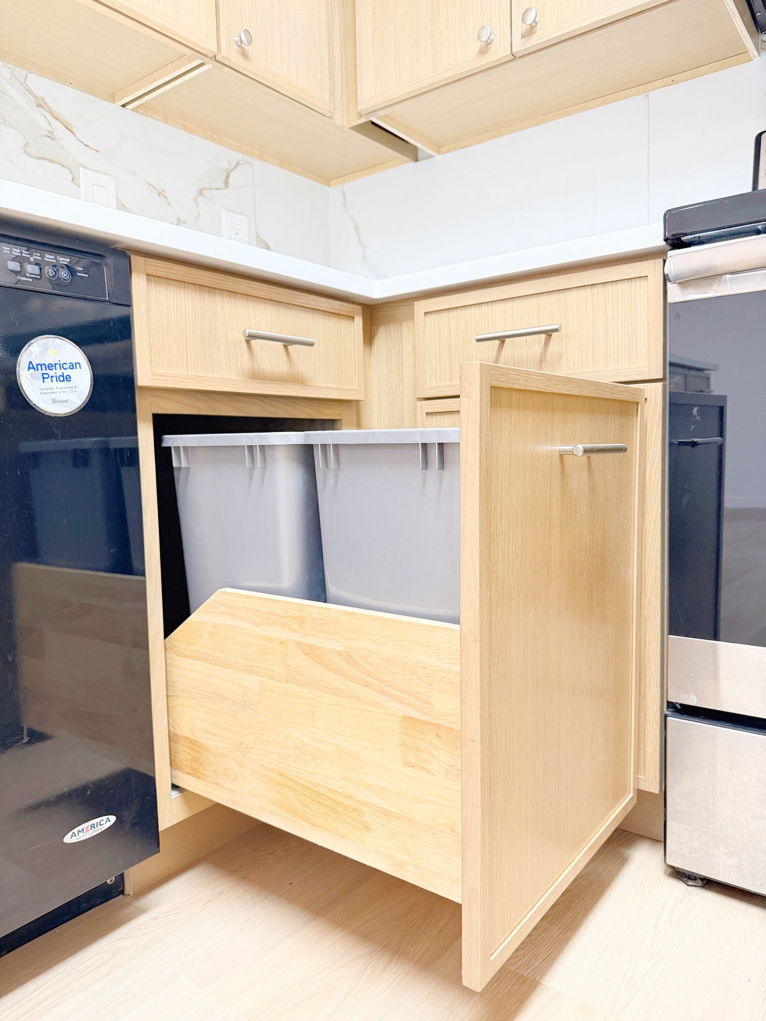 Pull-Out Double Trash Bin Storage