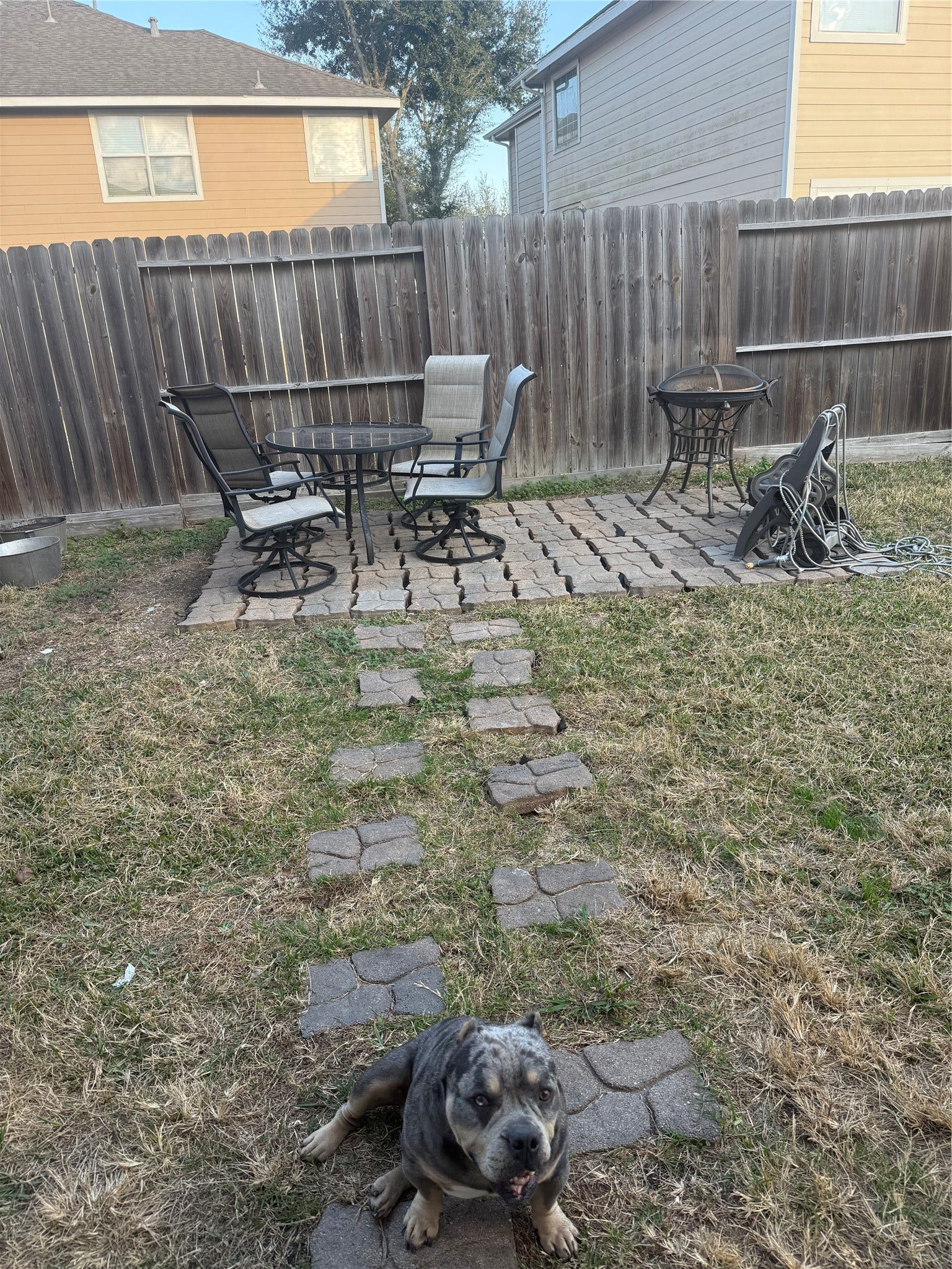 Backyard