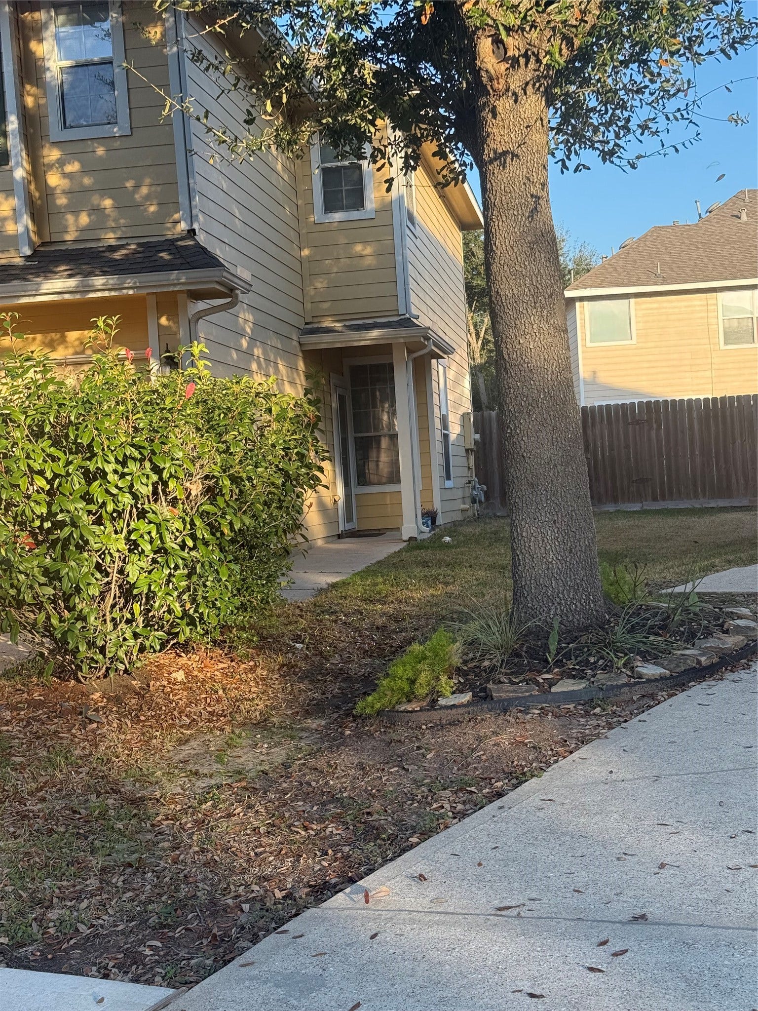 Front yard