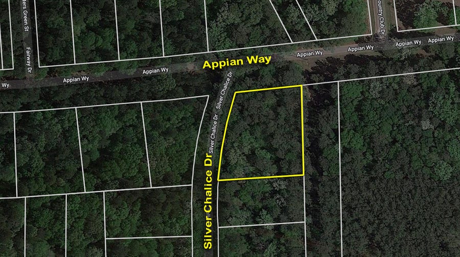 Property photo for Lot 61 Appian Way, New Caney, TX