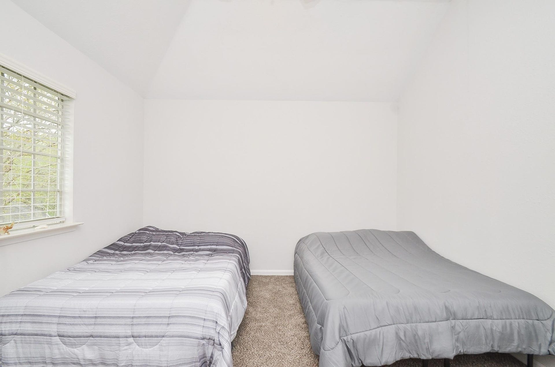 1903 Tall Gum Drive, Fresno, TX 77545 1903 Tall Gum Drive, Fresno, TX 77545