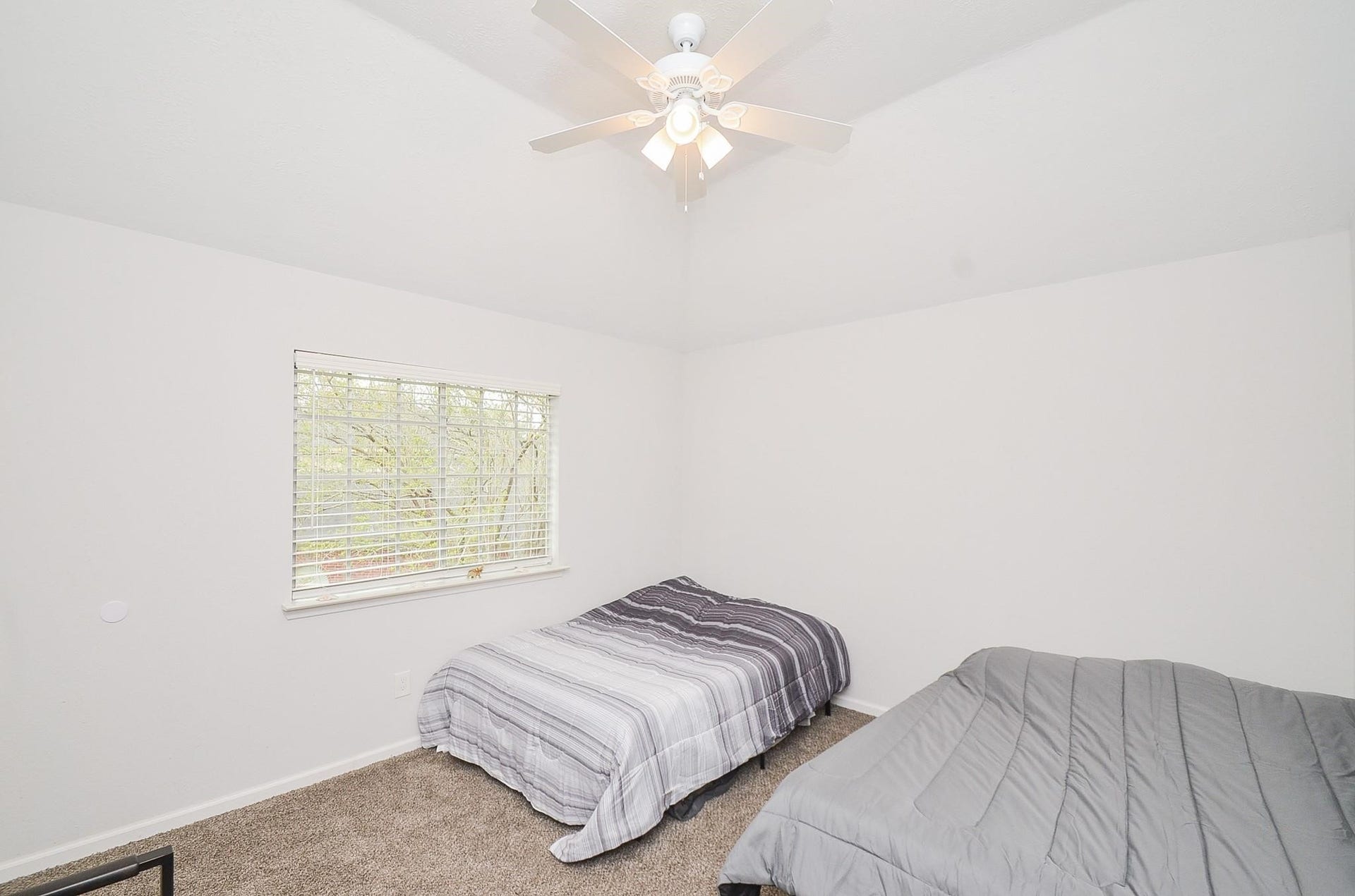 1903 Tall Gum Drive, Fresno, TX 77545 1903 Tall Gum Drive, Fresno, TX 77545