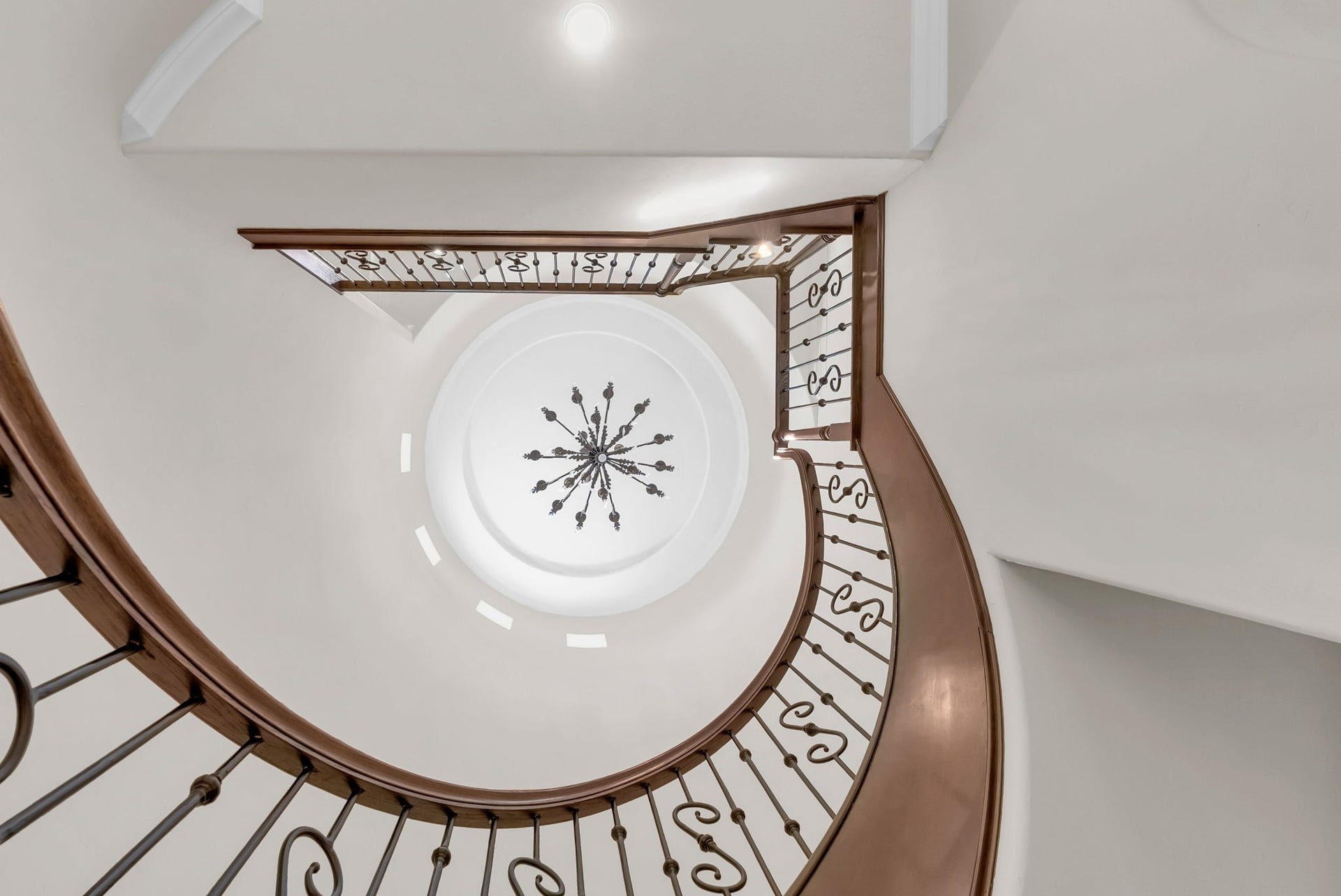 Elegant curved staircase with custom ironwork and dramatic architectural detail.