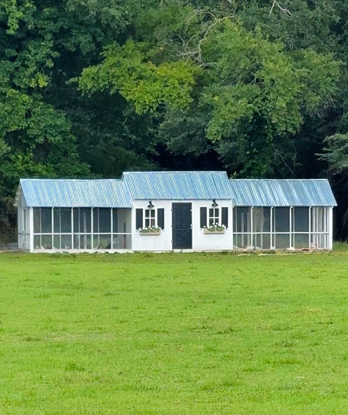 Charming custom chicken coop and storage outbuilding with a metal roof and screened-in sides, nestled amidst lush greenery. Perfect place for those hens to roost after a great day of free ranging.