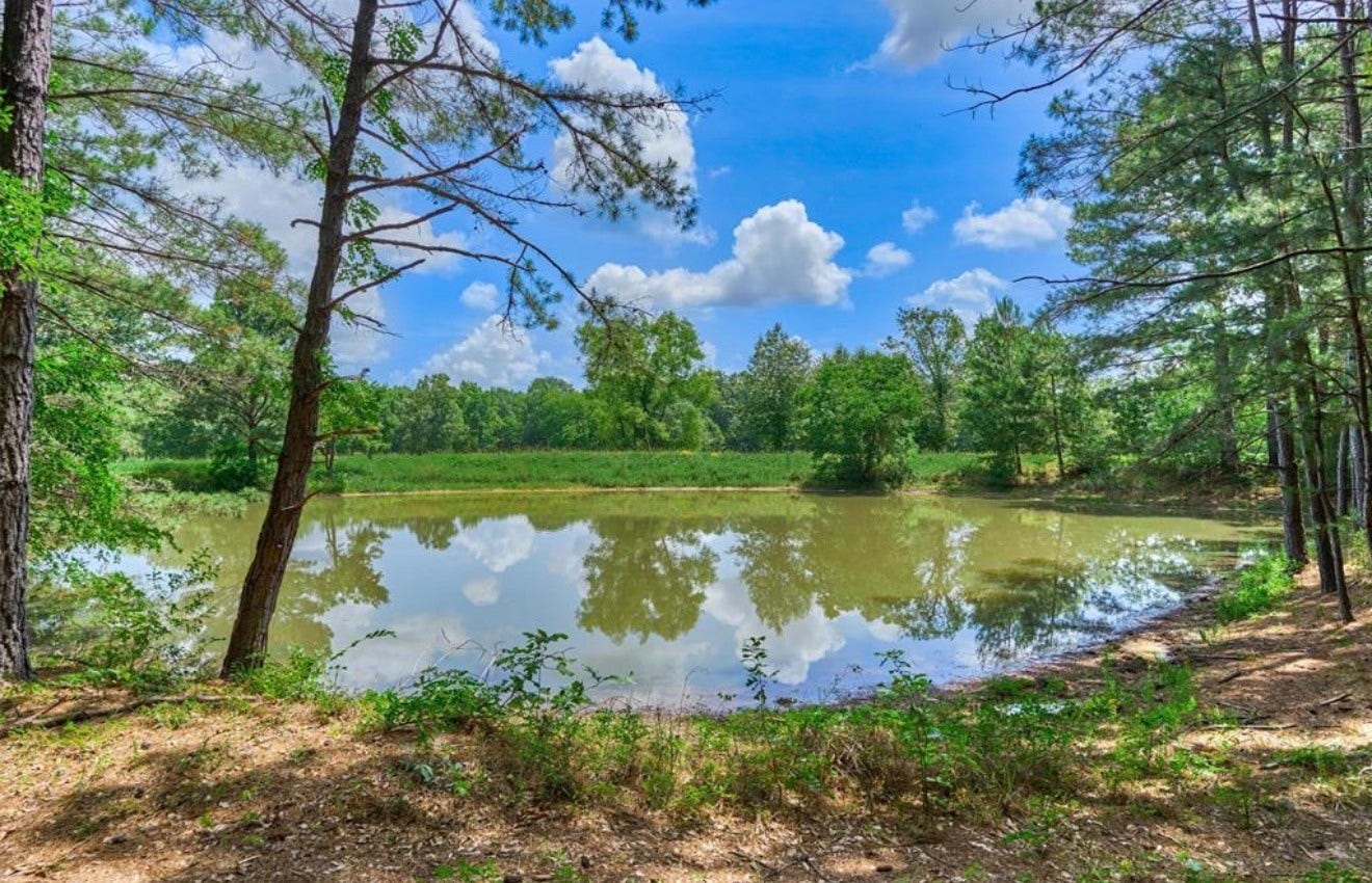 Tranquil pond surrounded by mature trees and serene pasture. Imagine riding your toys down here to fish for the afternoon!
