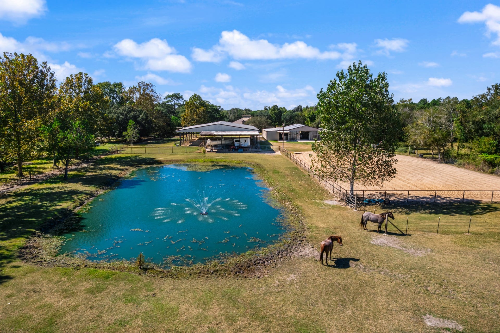 2215 Avenue Q, Santa Fe, TX 77510 Beautiful aerial view showcasing the property's scenic pond with a fountain, mature shade trees, fenced horse pastures, and spacious equestrian facilities. Two horses graze near the pond, while the nearby riding arena and outbuildings highlight the property's appeal for horse enthusiasts. A picturesque setting that blends peaceful country living with an equestrian lifestyle.