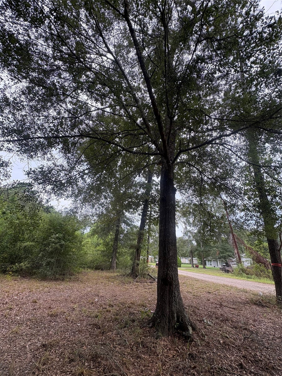Property photo for 27418 Coral Road, Splendora, TX