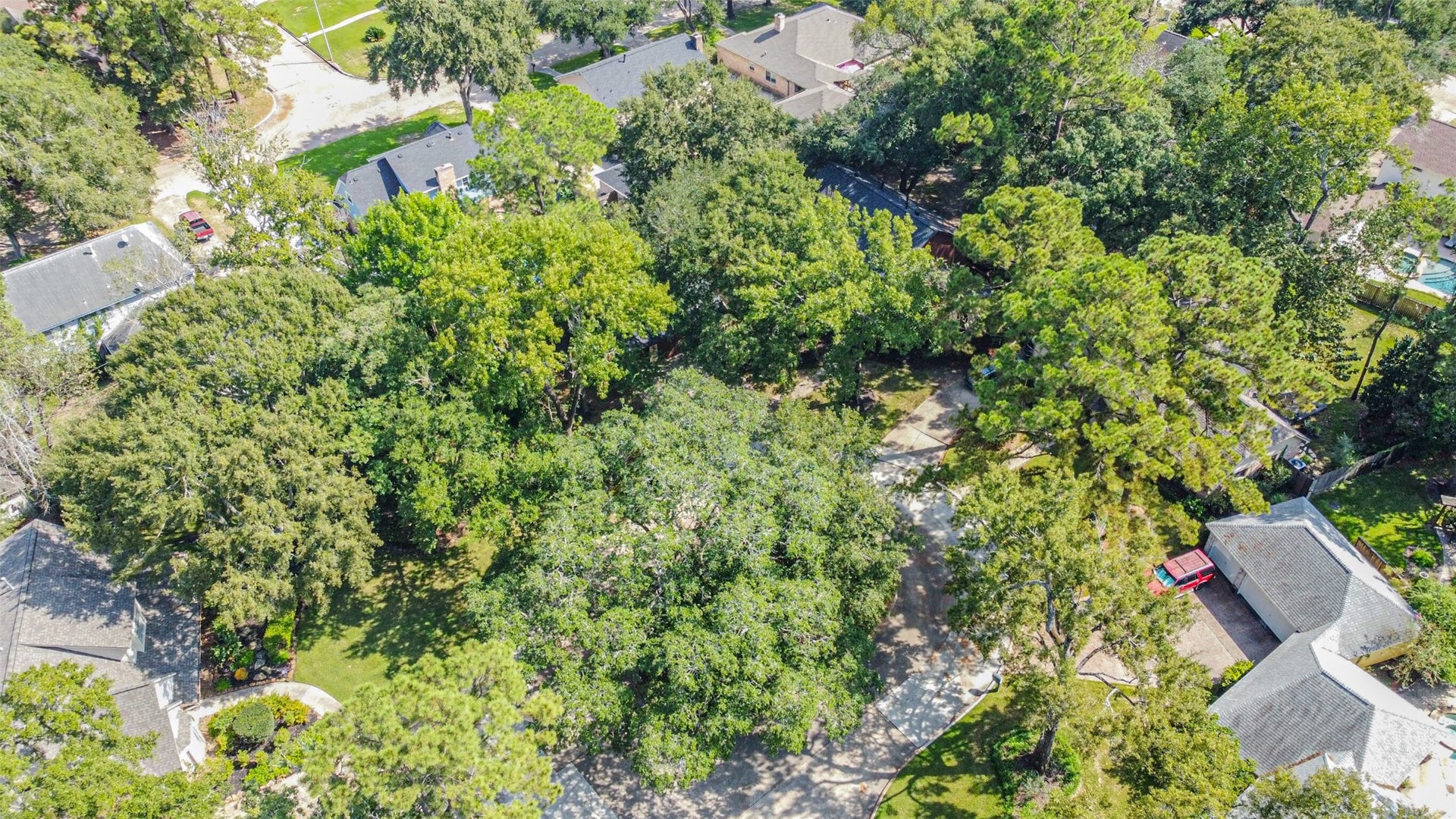 7618 Hurst Forest Drive, Humble, TX 77346 Nestled beneath a canopy of mature trees, this home offers a tucked-away feel in an established neighborhood. The lush setting brings natural beauty and a welcoming sense of retreat to everyday living.