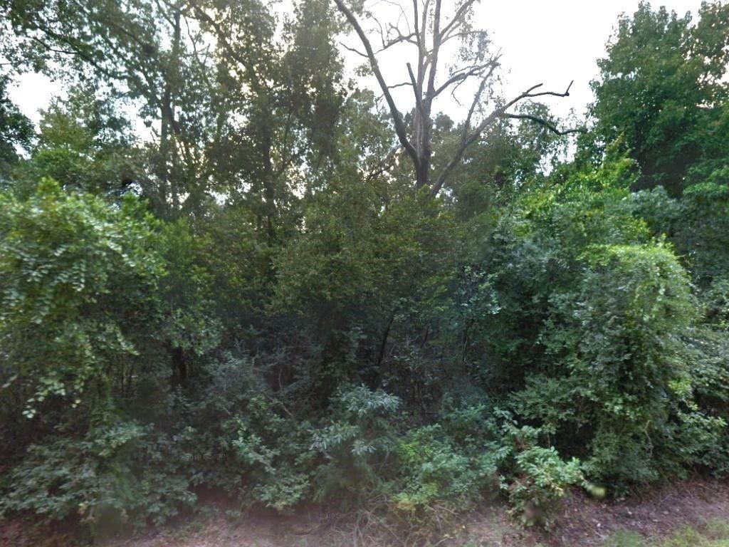 TBD Idlewild, New Caney, TX 77357