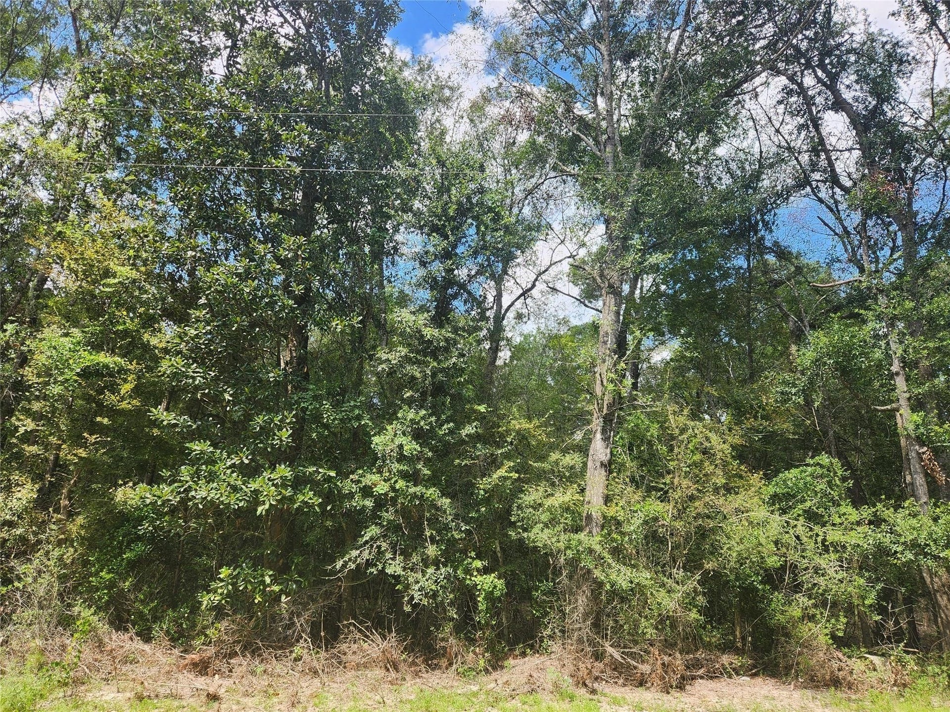 TBD Idlewild, New Caney, TX 77357