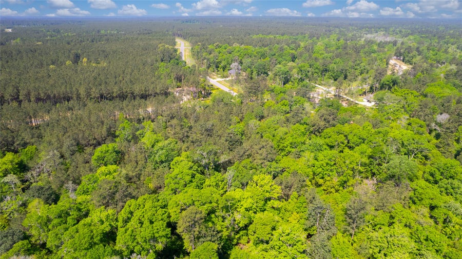 Property photo for 12868 Oak Barrel Road, Willis, TX