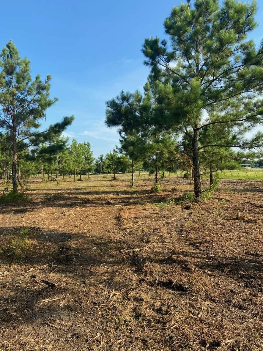 5510 County Road 602, Dayton, TX 77535 5510 County Road 602, Dayton, TX 77535